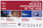 wildlife photografer of the year