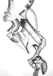 Sandro Bellomo